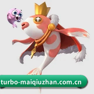 买球站 APP