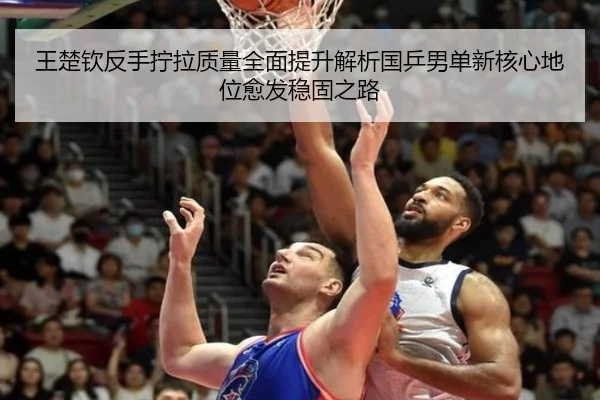 wang-chu-qin-fan-shou-ning-la-zhi-liang-quan-mian-ti-sheng-jie-xi-guo-ping-nan-dan-xin-he-xin-di-wei-yu-fa-wen-gu-zhi-lu-2-954.jpg